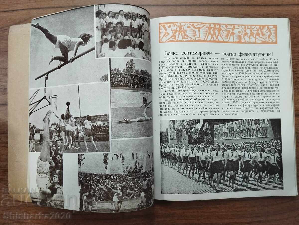 Licitație TINERETUL DIN DIMITROVSK FACE SPORT