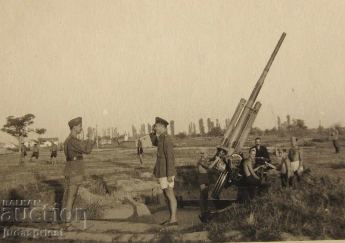 WWII Kingdom of Bulgaria military photo artillery soldiers cannon