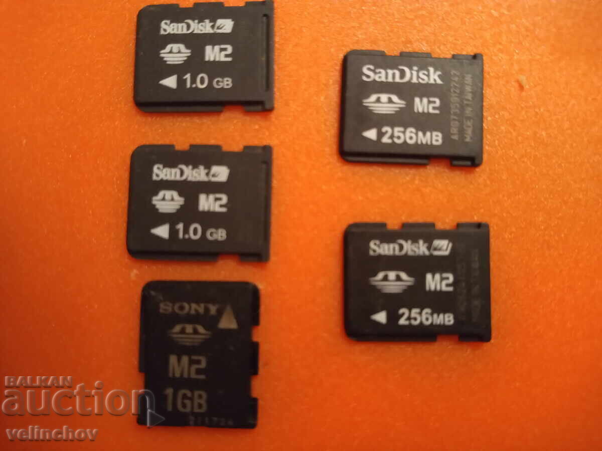 Κάρτες μνήμης Sony Memory Stick Micro (M2)