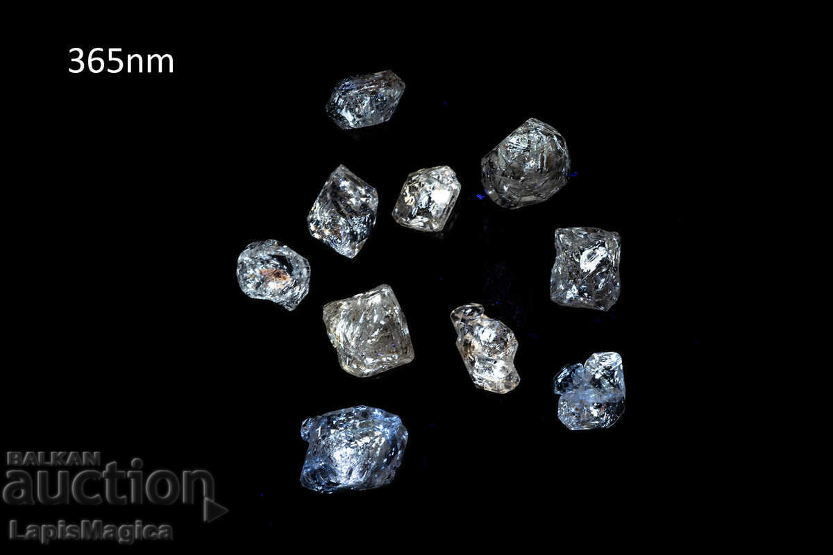 Παρτίδα 10 τεμ. κρύσταλλοι χαλαζία με εγκλείσματα πετρελαίου 28.7ct φθορίζοντες