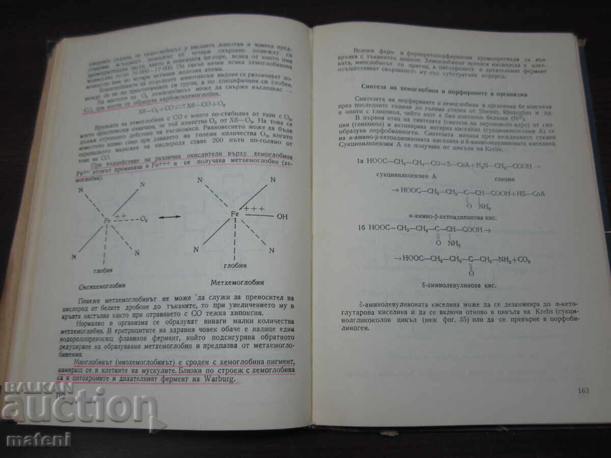 CARTE MEDICALĂ METABOLISMUL LA VÂRSTA COPILĂRIEI - 5