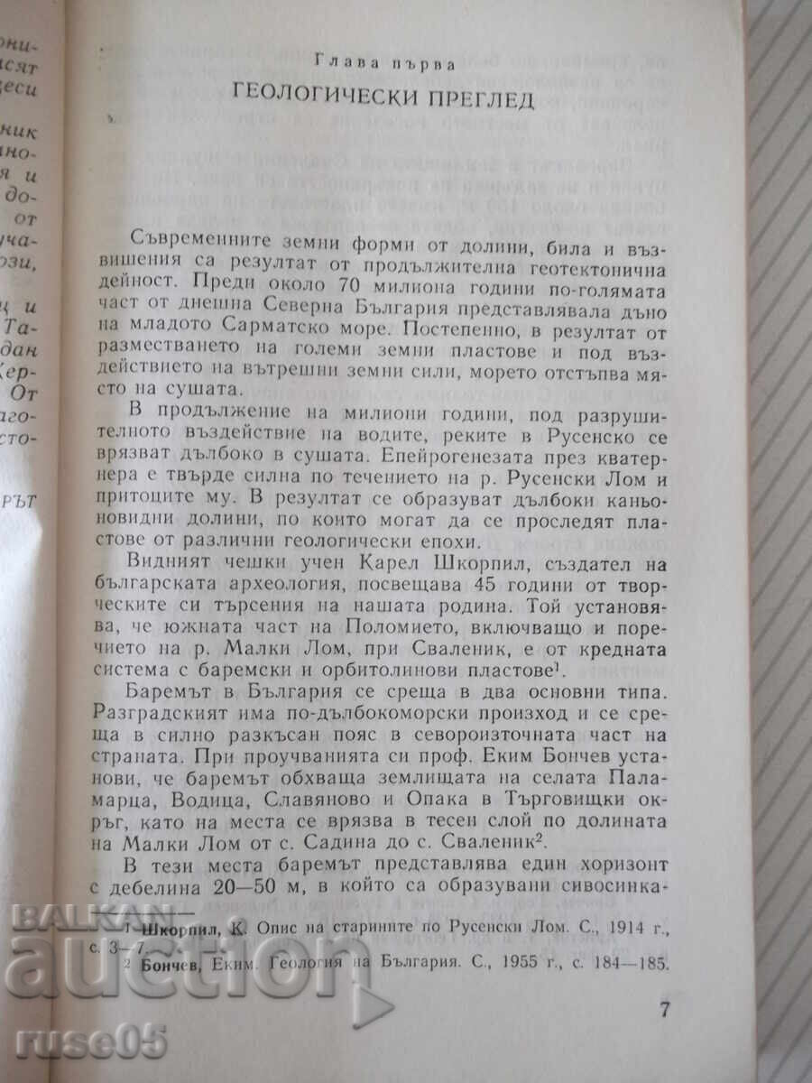 Licitație Carte "Svalenik - Petar Kamburov" - 180 pag