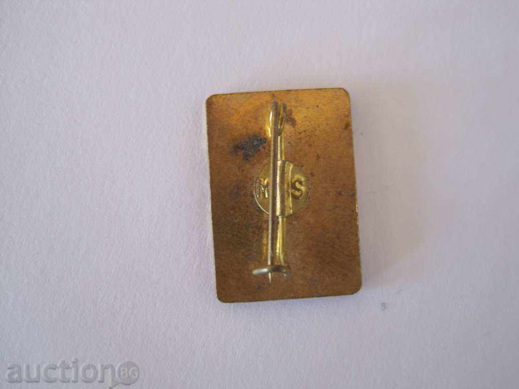 Insigna - tabara de pionieri cu preț € 1.95 | 3.81 BGN