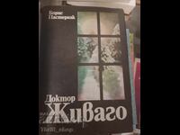 Ο γιατρός Zhivago Boris Pasternak