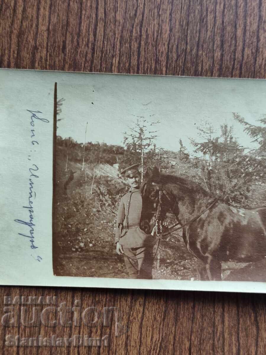 Fotografie veche Regatul Bulgariei - Primul Război Mondial, cal Împărat cu preț € 6.00 | 11.74 BGN
