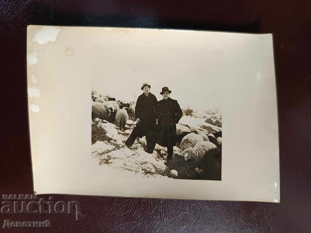 Οιωνός του Αγίου Γεωργίου