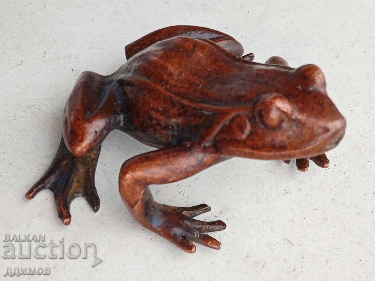 Toad - 6