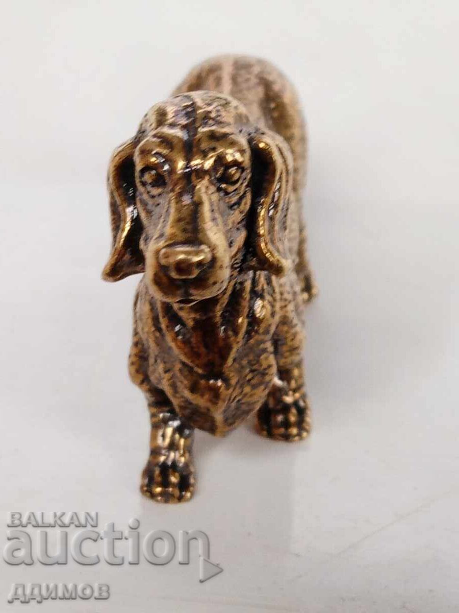 Auction  Dachshund