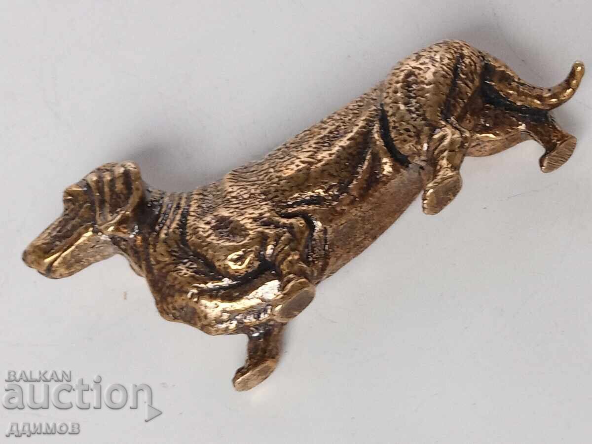 Dachshund - 5