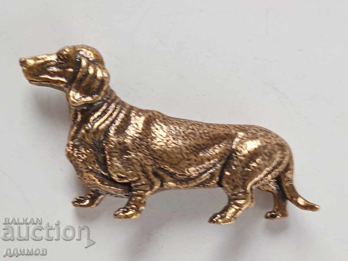 Dachshund