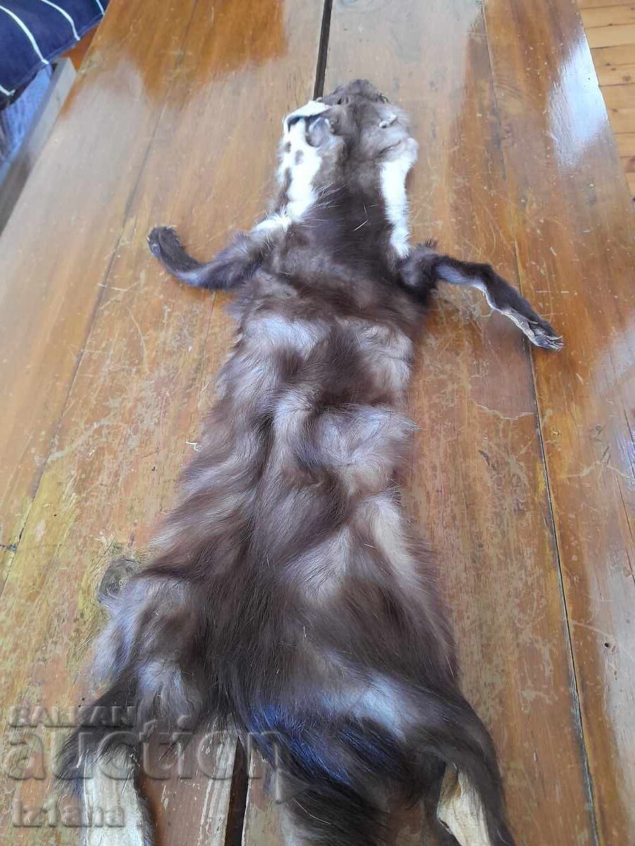 Licitație Piele veche de la Zlatka