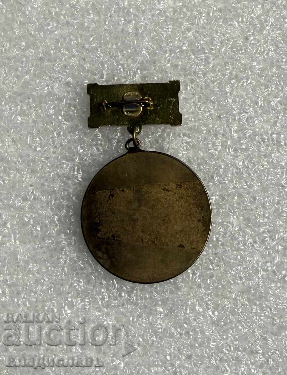 нагръден знак герб град ВАРНА с цена € 45.00 | 88.01 лв.