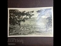 Etropole 1943 Paskov vedere fotografie Regatul Bulgariei