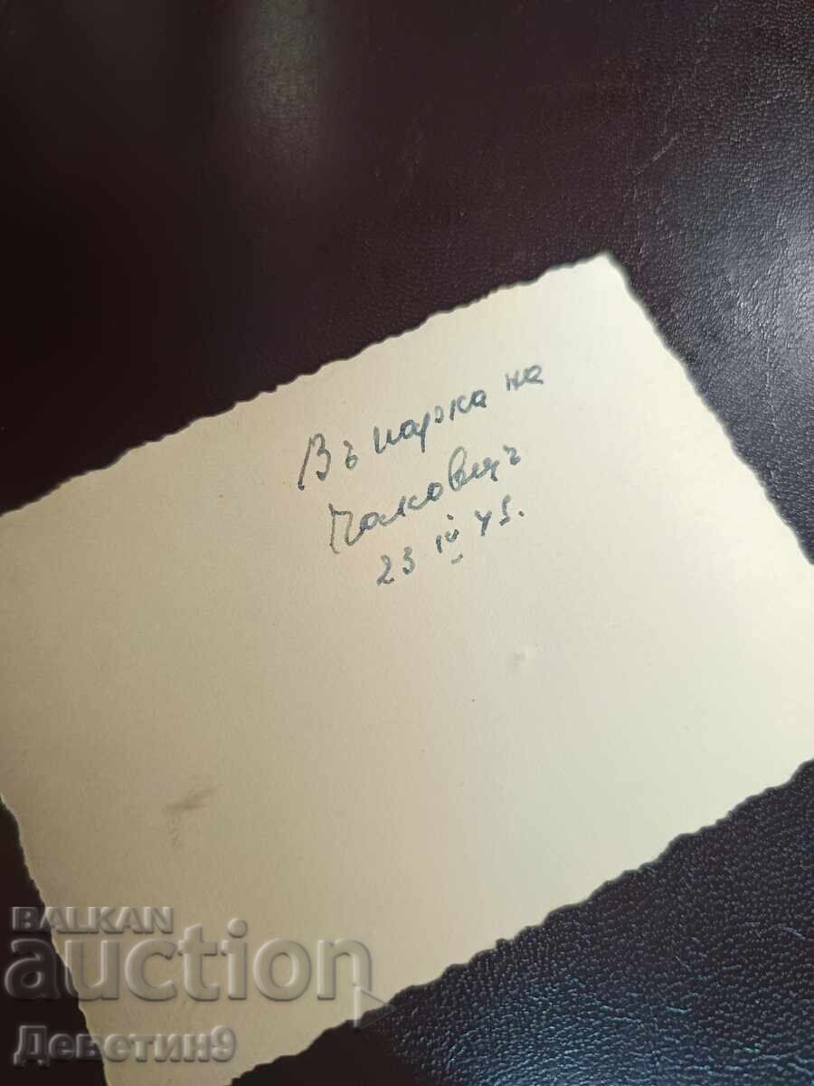 Soldați cu un câine în Čakovec, 1945 cu preț € 4.50 | 8.80 BGN