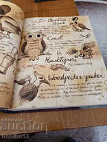 Βιβλίο Gravity Falls: Journal 3 των Alex Hirsch και Rob Renzetti - 5