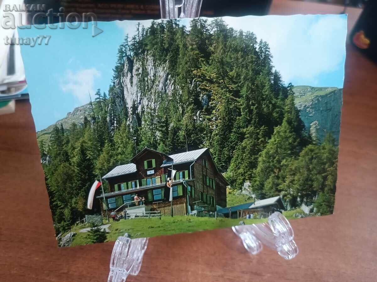 Vintaj cărți poștale vechi fotografii și altele