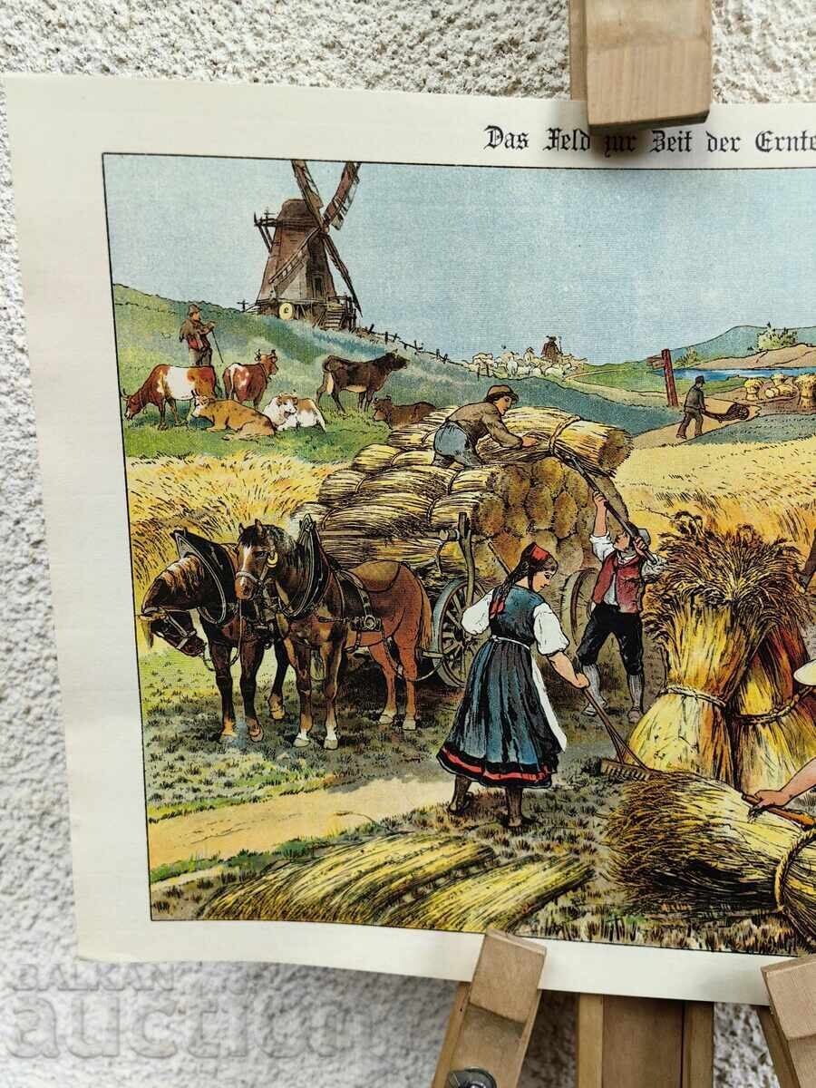 Copie de ÎNALTĂ CALITATE Litografie Moară pe câmp cu preț € 7.00 | 13.69 BGN
