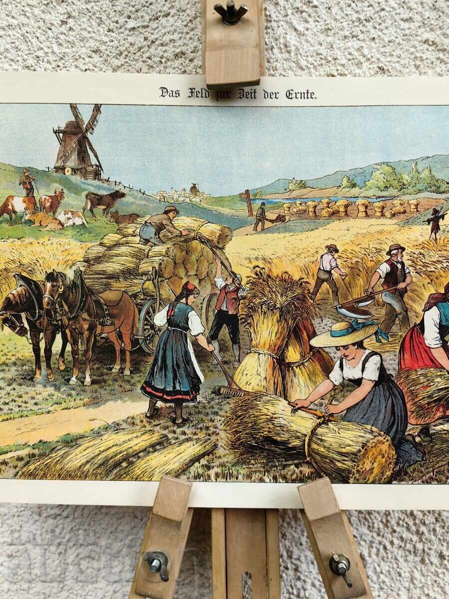 Livrarea Copie de ÎNALTĂ CALITATE Litografie Moară pe câmp
