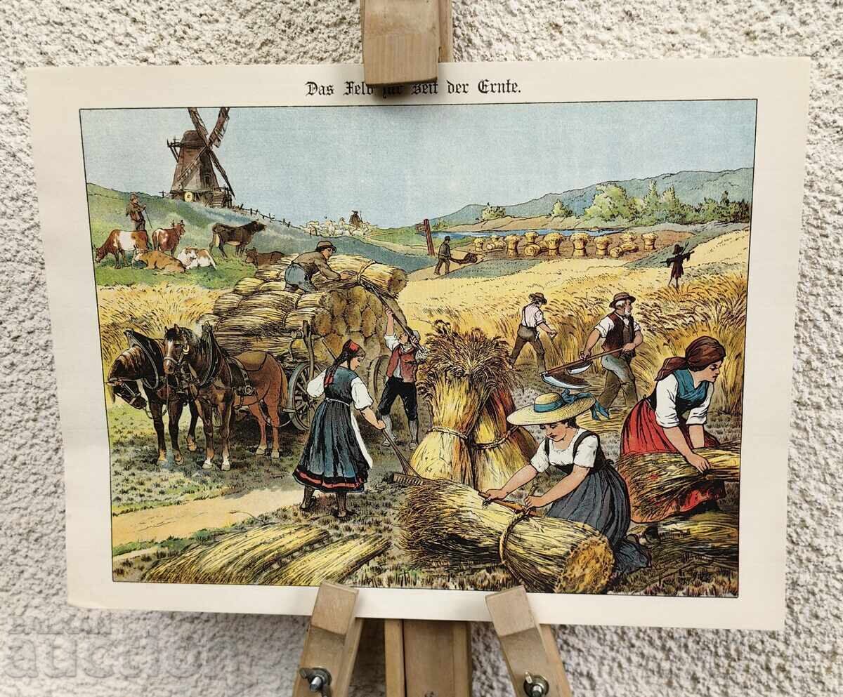 Copie de ÎNALTĂ CALITATE Litografie Moară pe câmp