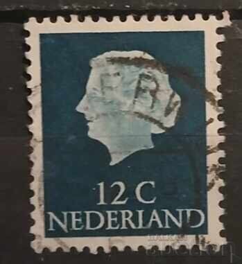 Olanda 1954