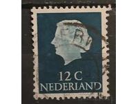 Olanda 1954