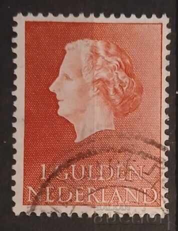Olanda 1954