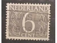 Olanda 1954