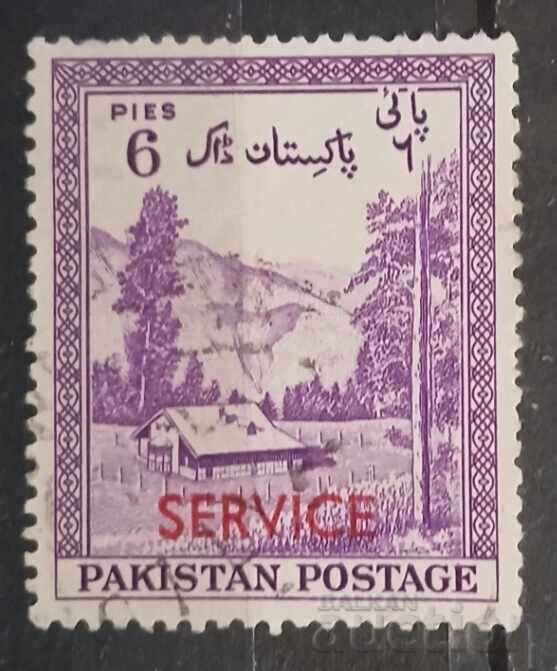 Pakistan Business