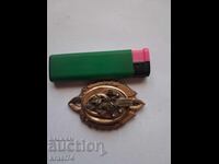 Gilded brooch