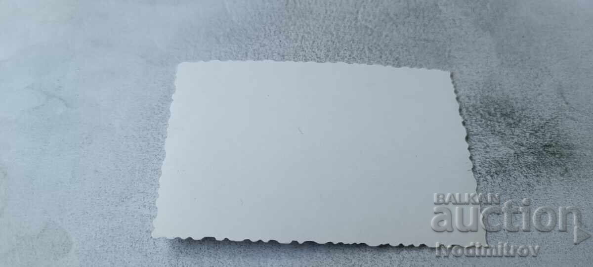 Снимка Жена на скала покрай морето с цена € 0.74 | 1.45 лв.