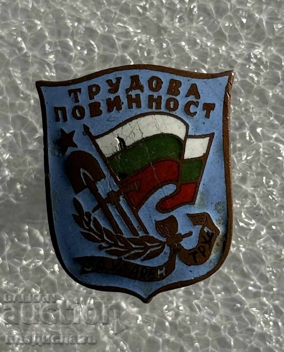 Licitație Insignă semn rănit Soc. NRB Datorie de muncă Licitație Insignă semn rănit Soc. NRB Datorie de muncă