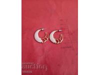 Antique enamel earrings