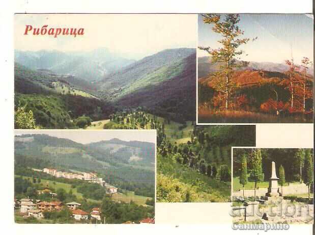 Carte poștală Bulgaria satul Ribaritsa Teteven 1*