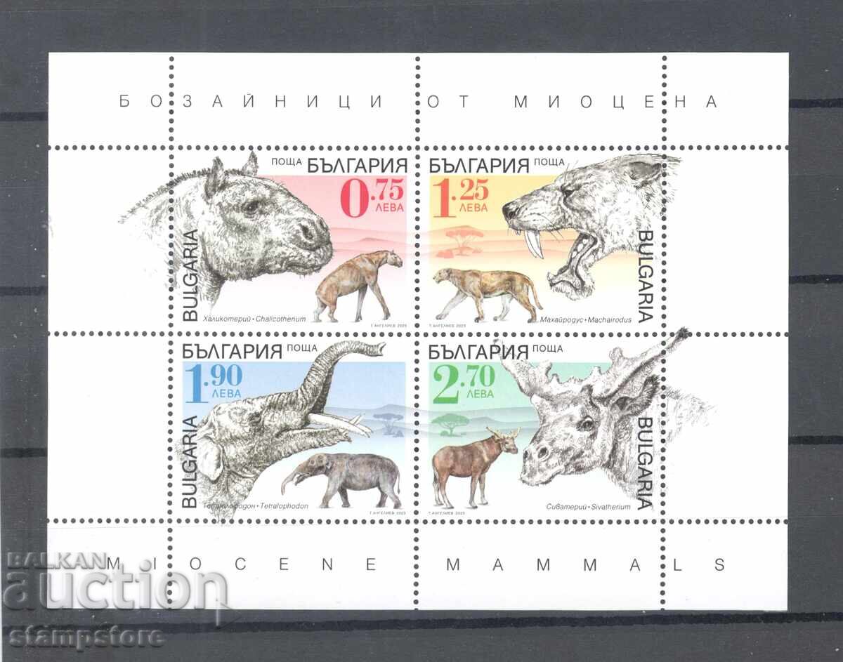 Fauna block from the Miocene