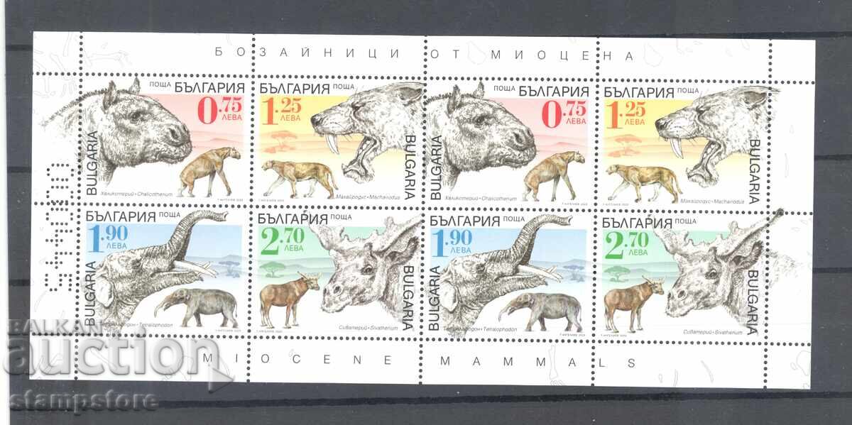 Coală mică Fauna din Miocen