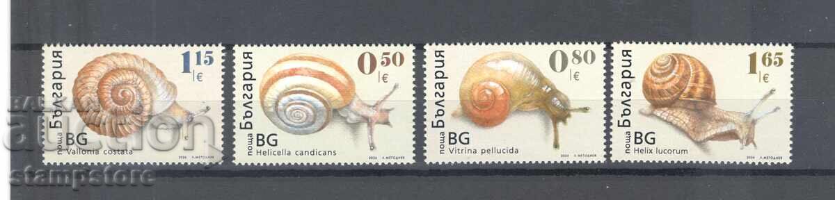 Snail Series Snail Series