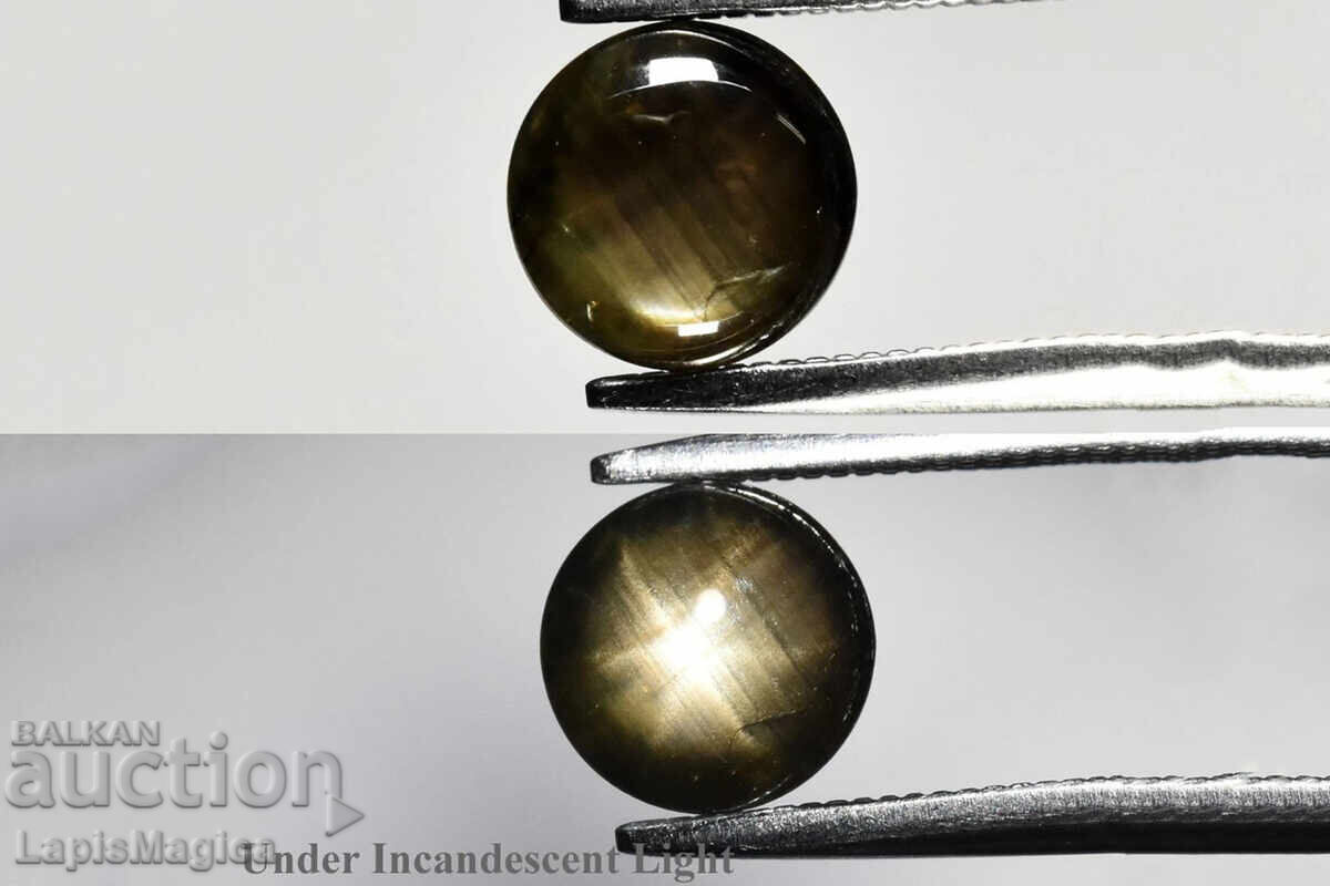 Μαύρο αστεροειδές ζαφείρι 6 ακτίνων 6.5mm 1.40ct ακατέργαστο στρογγυλό