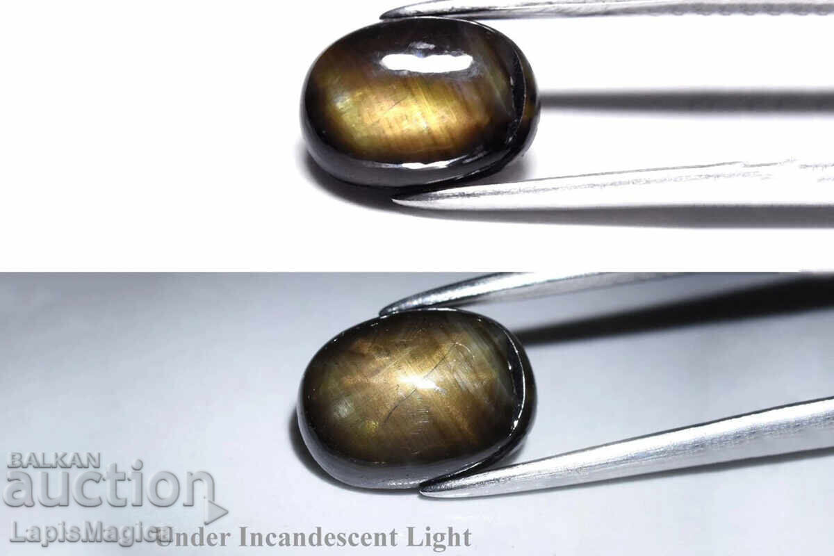 Safir stelat negru cu 12 raze, 1.88ct, netratat, caboșon oval
