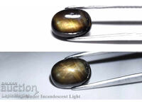 Μαύρο ζαφείρι αστέρι 12 ακτίνων 1.88ct μη επεξεργασμένο οβάλ καμποσόν