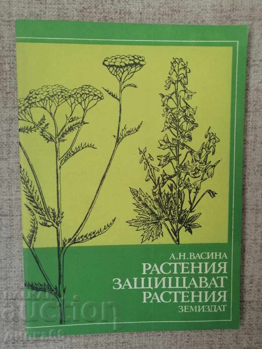 Plantele protejează plantele