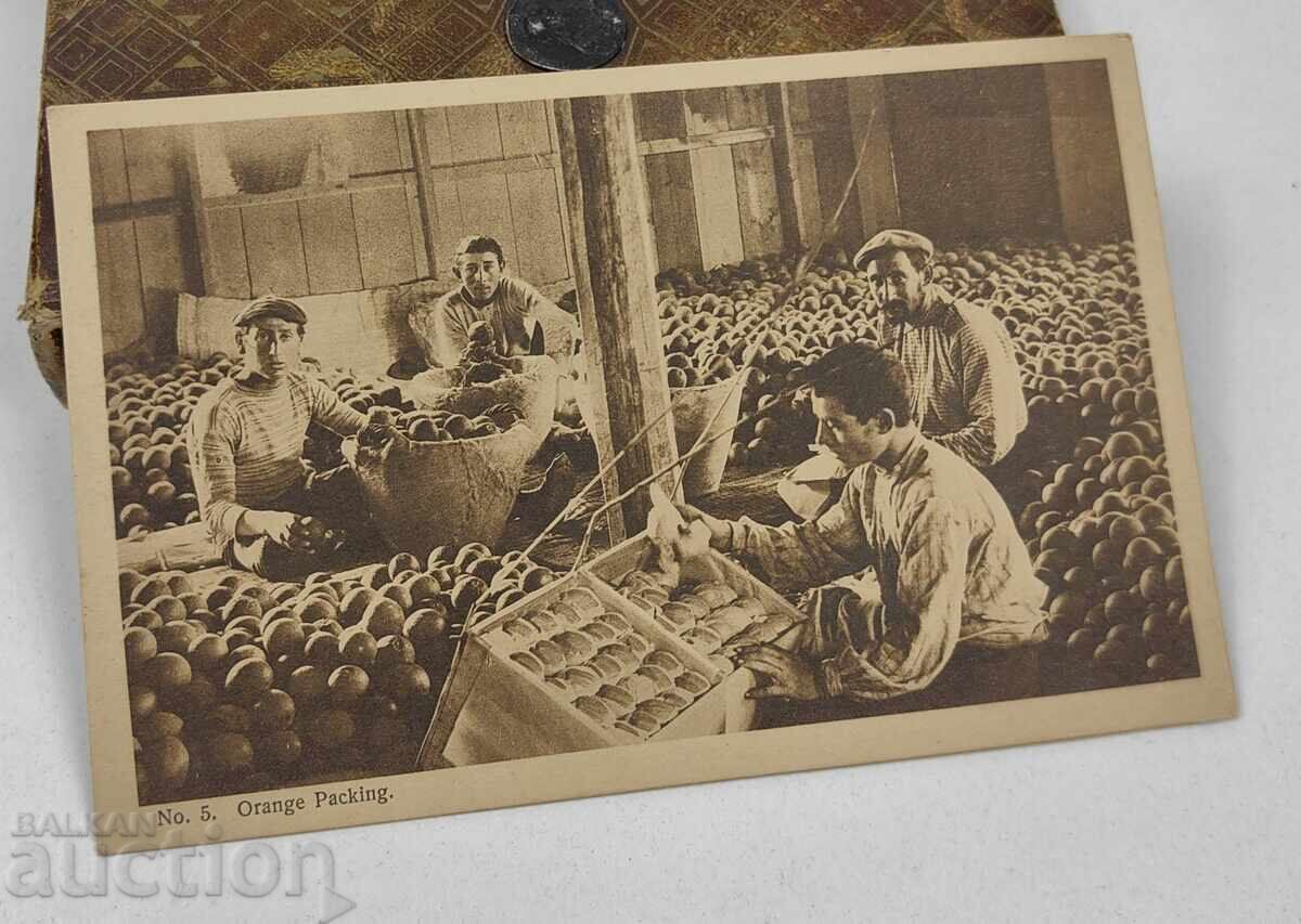 AMBALAREA PORTOCALELOR CARTE POȘTALĂ VECHE