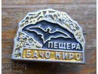 Insigna "Peștera Bacho Kiro"