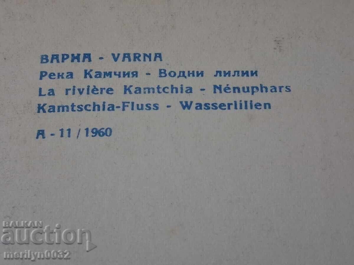 Licitație Fotografie carte poștală Varna 1960