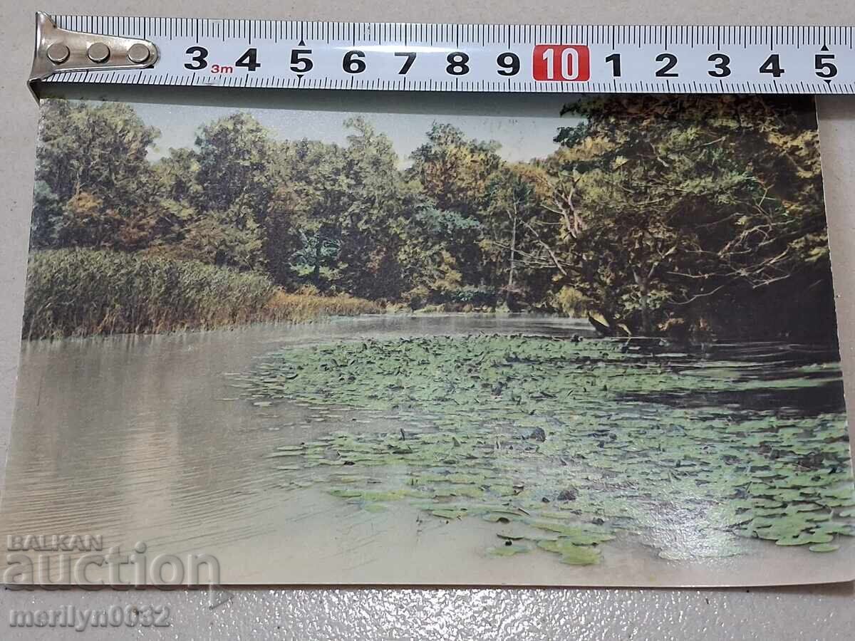 Livrarea Fotografie carte poștală Varna 1960