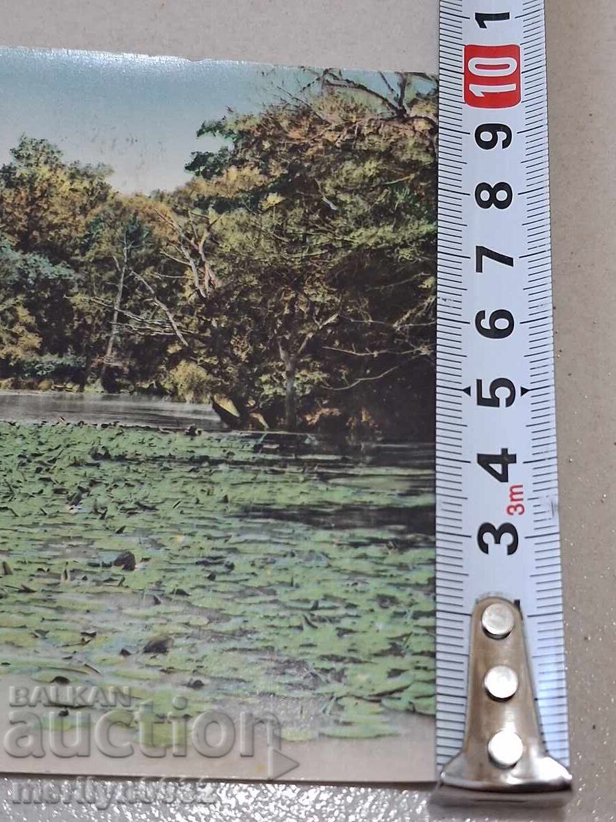 Fotografie carte poștală Varna 1960 - 5