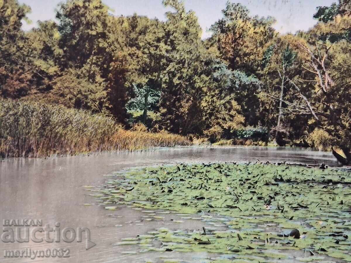 Fotografie carte poștală Varna 1960 - 6