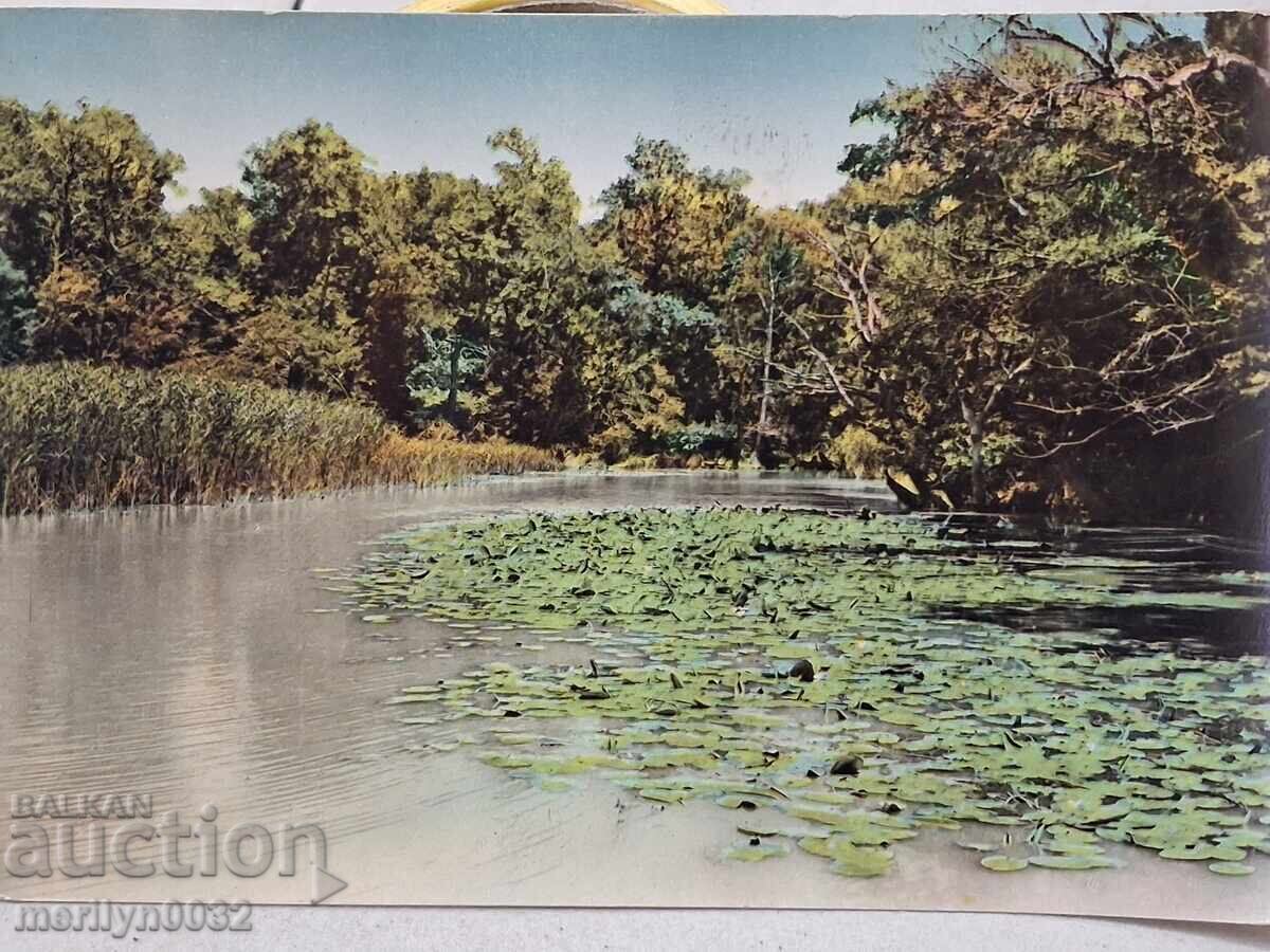 Fotografie carte poștală Varna 1960
