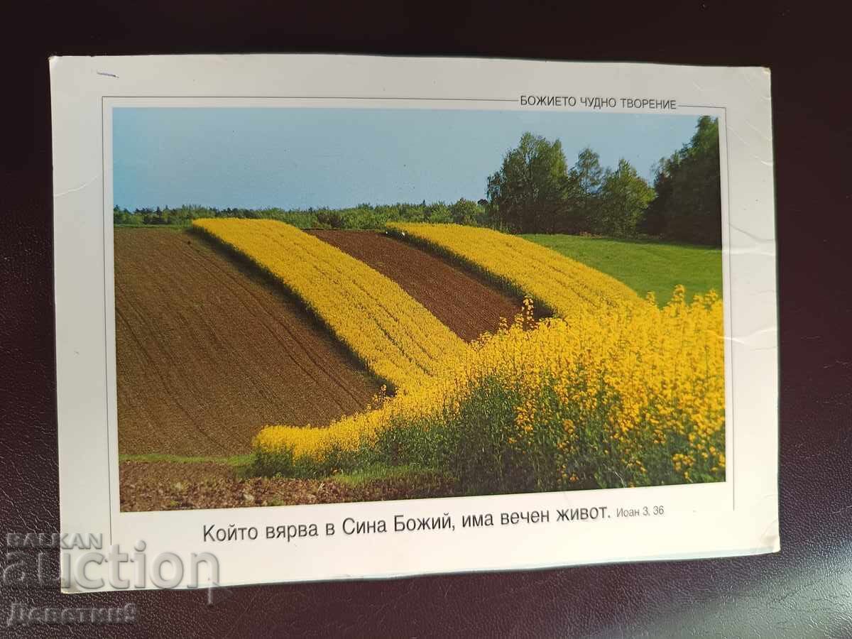Minunata creație a lui Dumnezeu (necompletată) Minunata creație a lui Dumnezeu (necompletată)