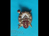 Много рядък и отлично запазен знак "АРМЕЙСКИ СЪСТЕЗАНИЯ"