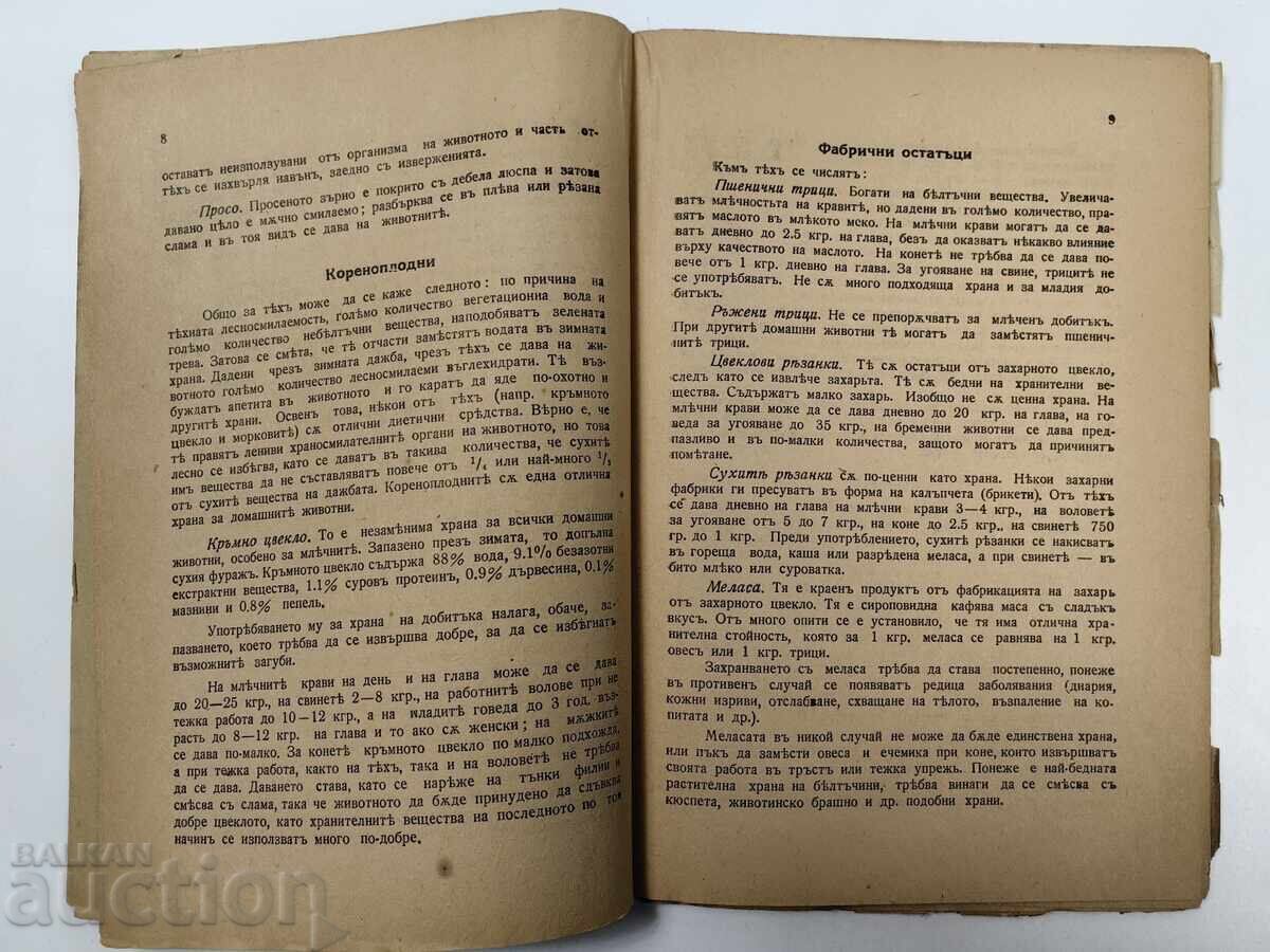 Licitație ÎNGRIJIREA ANIMALELOR DE COMPANIE Licitație ÎNGRIJIREA ANIMALELOR DE COMPANIE